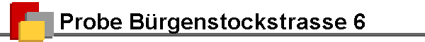 Probe B�rgenstockstrasse 6