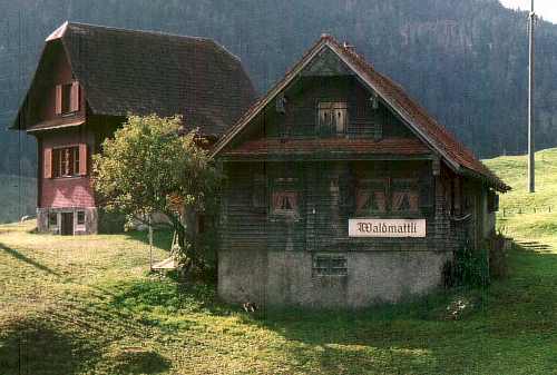 hutewald.jpg (26761 Byte)