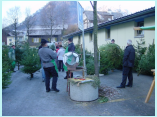 DSC00006.jpg