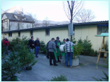 DSC00009.jpg