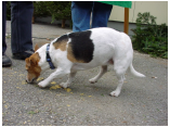 DSC00036.JPG
