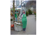 DSC00043.JPG