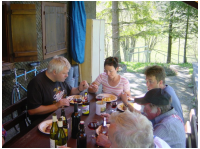 pflanzen038.jpg