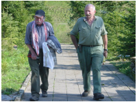 pflanzen048.jpg