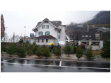 P1010226.jpg