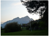 P1000424.jpg