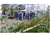 P1020127.jpg