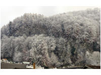 P1020128.jpg