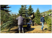 waldputz17_018.jpg