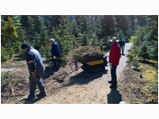 waldputz17_026.jpg