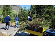 waldputz17_029.jpg