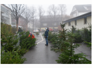 baumverkauf061.jpg