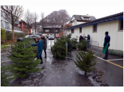 baumverkauf_2021_64.JPG