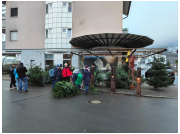 baumverkauf_23011.jpg