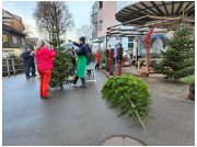 baumverkauf_23012.jpg