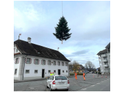 christbaum_dorfplatz_23008.jpg