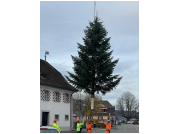 christbaum_dorfplatz_23009.jpg