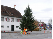 christbaum_dorfplatz_23010.jpg