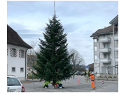 christbaum_dorfplatz_23011.jpg