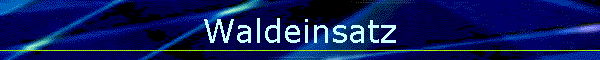Waldeinsatz