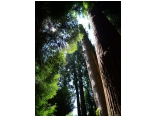 P1000189.jpg