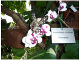 P1000200.JPG