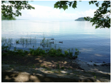 P1000215.JPG