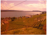 P1000810.jpg