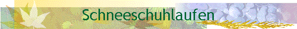 Schneeschuhlaufen