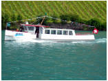 10.JPG