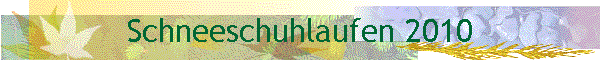 Schneeschuhlaufen 2010