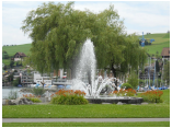 DSCN0185.jpg