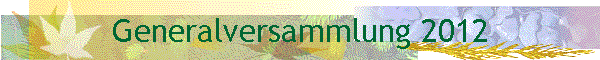 Generalversammlung 2012
