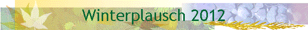 Winterplausch 2012