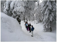 winterplausch004.jpg