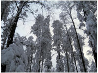 winterplausch005.jpg