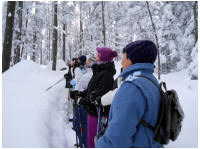 winterplausch006.jpg