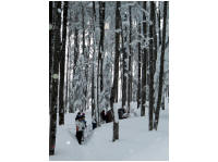 winterplausch008.jpg
