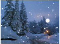 winterplausch011.jpg