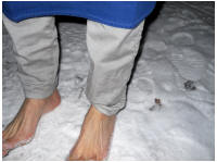 winterplausch027.jpg