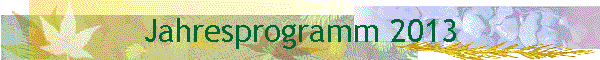 Jahresprogramm 2013