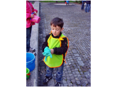 vamos_22kroeten23_4_2010.jpg