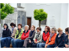 vamos_95fuehrungstans17mai2011.jpg