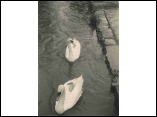 Hochwasser1970_08.jpg