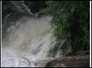 Giesslibach012.jpg