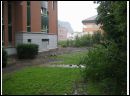 Giesslibach040.jpg