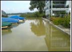 DSC00086.jpg