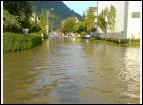 DSC00093.jpg