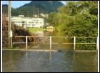 DSC00094.jpg