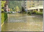 DSC00097.jpg
